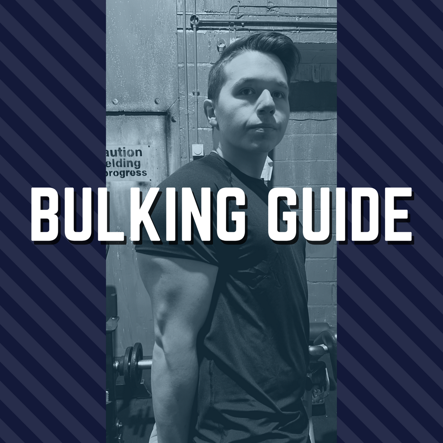 Bulking Guide